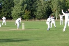 mscc-picture-of-the-year-2013