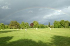 rainbowcricket