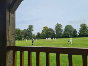 Matt Carpenter playing cricket at Aston Tirrold