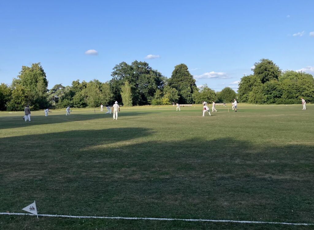 mscc v uoh