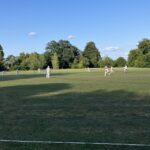 mscc v uoh