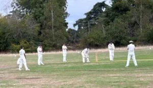 MSCC v The Law Society 2026